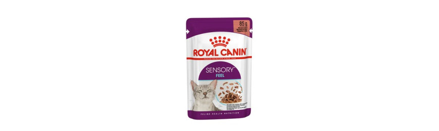 Royal Canin 法國皇家 SENSORY™ 貓感系列